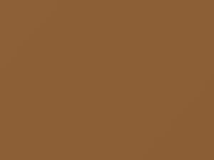 Camel Beige touch-up paint for Chevrolet, code 64, 8057, WA8057, 1983