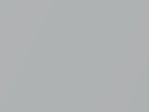 Silver Metallic touch-up paint for Ford, code 1Q, 5909 + alternatives, 2017