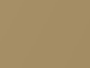 Aspen Gold Metallic touch-up paint for Datsun, code 120, 1986