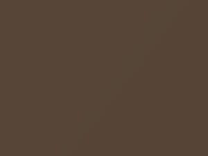 Medium Brown Metallic touch-up paint for Chevrolet, code 9286, WA9286, 1987
