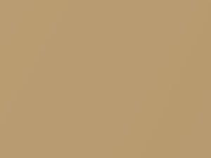 Golden Tan Metallic touch-up paint for Chrysler, code AT7, AY84AT7, 1982