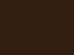 Walnut Metallic touch-up paint for Ford, code 9S, M5922A, 1987