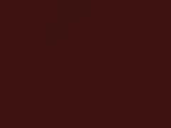 Bordeaux Metallic touch-up paint for Alfa Romeo Spider, code 146, 1999
