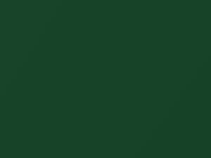 Leaf Green Metallic touch-up paint for Daewoo, code 46U, 1998