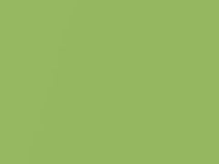 Verde Itaca Mica touch-up paint for Lamborghini Diablo, code 0077, 77, 2008