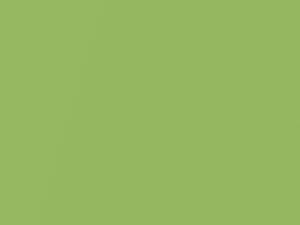Verde Itaca Mica touch-up paint for Lamborghini, code 0077, 77, 2017