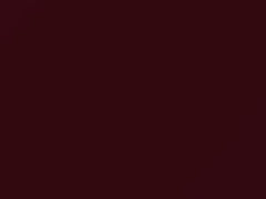 Currant Red touch-up paint for Ford, code 2F, 6325, EC, M6325A, 1992