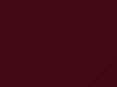 Bright Currant Red Metallic touch-up paint for Ford, code 2S, ED, M6378A, M6455A, 1993
