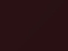 Dark Currant Red Metallic touch-up paint for Ford, code 4V, M6411A, 1989