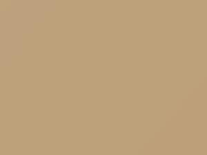 Almond Beige touch-up paint for Chevrolet Corvette, code 2721, 938A, WA2721, 1961