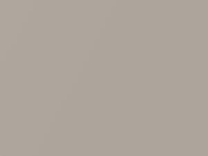 Beige Metallic touch-up paint for Daihatsu, code T10, 1990