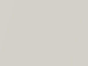 BMW Brilliant Weiss Pearl/Brilliantweiss Pearl touch up paint 490 2015 All Models