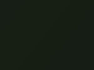 Moss Green Pearl touch-up paint for Dodge Ram Pickup, code PJG, SJG, 1996