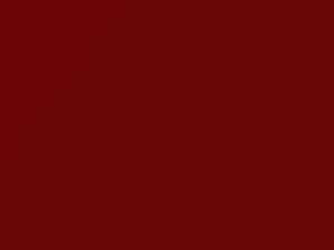 Bright Red touch-up paint for Ford, code E3, 2002