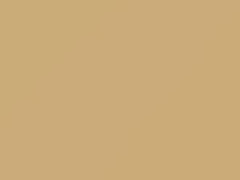 Beige touch-up paint for Nissan, code HAF, 2020