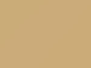 Beige touch-up paint for Nissan, code HAF, 2020