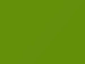 Gecko touch-up paint for Jeep, code KFM, PFM, 2016