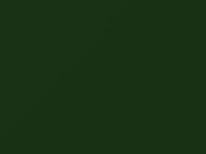 Green touch-up paint for Toyota, code 6K9, 1992