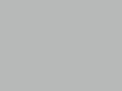 Audi Ice Silver Metallic touch up paint LX7W 2011 All Models