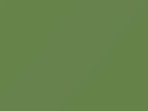 Pastel Green touch-up paint for Toyota, code 6G2, 1984