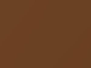 Caramel Yellow Pearl touch-up paint for Kia Rio, code F2G, 2014