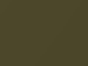 Olive touch-up paint for Toyota, code 6L4, 1991