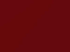 Bright Red touch-up paint for Chevrolet, code 81U, 9521, WA9521, 1989
