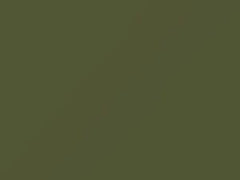 Olive Green touch-up paint for Nissan, code 597, 1987