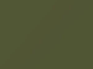 Olive Green touch-up paint for Nissan, code 597, 1987