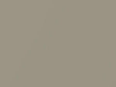 Light Sandalwood Metallic touch-up paint for Ford, code A5, A8, 1991