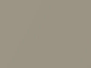 Light Sandalwood Metallic touch-up paint for Ford, code A5, A8, 1991