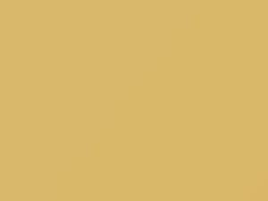 Medium Flax touch-up paint for Cadillac Deville, code 33, 54, 9592, WA9592, 1991