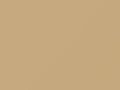 Light Mesa Brown touch-up paint for Oldsmobile, code 33, 9207, WA9207, 1991