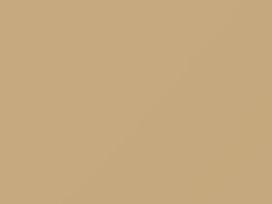 Light Mesa Brown touch-up paint for Oldsmobile, code 33, 9207, WA9207, 1991