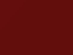 Canyon Red touch-up paint for Ford, code F2, 1989