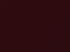 Volkswagen Bordeaux Red Metallic touch up paint 9079 2020 All Models