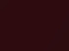 Volkswagen Bordeaux Red Metallic touch up paint 9079 2020 E-Golf