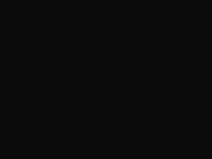 BMW Jet Black touch up paint 668 2011 X6
