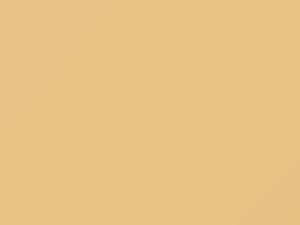 Light Brown touch-up paint for Oldsmobile, code 37, 9219, WA9219, 1992