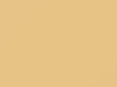 Light Mesa Brown touch-up paint for Chevrolet, code 37, 9219, WA9219, 1988
