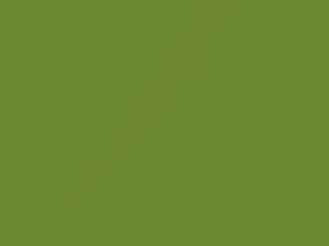 Primaveragruen touch-up paint for Volkswagen Tramper, code D0, DO + alternatives, 2009