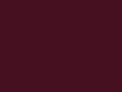 Raspberry Metallic touch-up paint for Volkswagen, code L5054, 1993