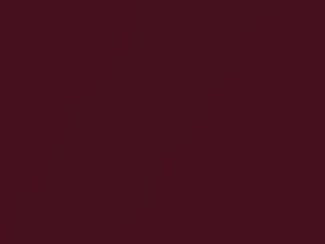 Raspberry Metallic touch-up paint for Volkswagen, code L5054, 1993