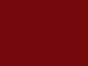 Burning Red touch-up paint for Ford, code E5, 1991