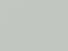 White touch-up paint for Nissan, code QM1, 2005