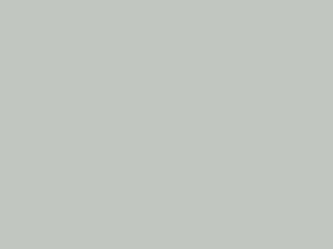 White touch-up paint for Nissan, code QM1, 2005