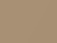 Chestnut Metallic touch-up paint for Ford, code 93, A9, M6260A, 1991