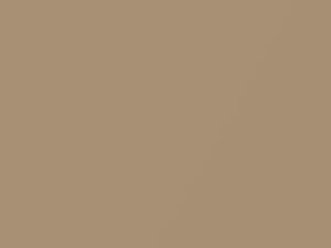 Chestnut Metallic touch-up paint for Ford Light Truck, code 93, A9, M6260A, 1991