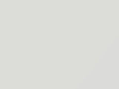 Mercedes-Benz Signalweiss touch up paint 9223 2000 All Models