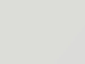 Mercedes-Benz Signalweiss touch up paint 9223 2000 All Models
